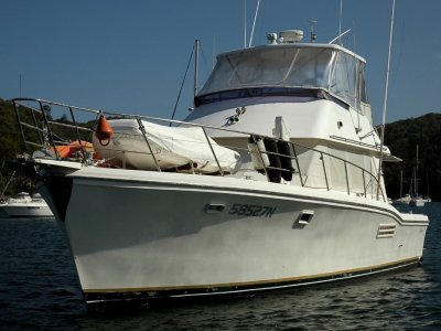 boats